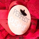 NWT Spree Intimates Pink Lace Sheer Mesh Push Photo 13