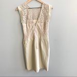 BCBGMAXAZRIA Aimee Dress Taupe Cream Lace Size 4 Photo 4