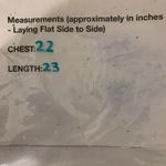 Ralph Lauren Lauren  Womens Size XL Multicolor Stripe Nautical Pullover Sweater Photo 5