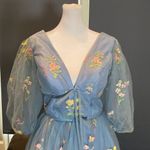 Women’s Blue Prom Party Dress Embroidered Flowers Butterflies Corset Back Size 4 Blue Photo 1