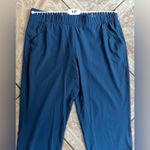 Eddie Bauer  Blue Comfortable Everyday Wear Pants Photo 3