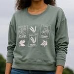 Pact NWT  Women’s Crewneck Sage Herb Organic Cotton Size Large Photo 0