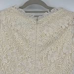 Lily Brown Lace Fit & Flare Dress Sz 0 Floral Crochet Romantic Glam Tulle Fairy Photo 7