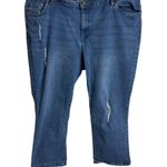 Woman Within Distressed Denim Jeans Size 22W From Bangladesh Photo 5