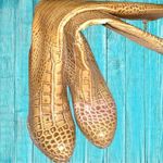 Charles David Charles by  tan faux animal print knee high side zip boots Photo 2