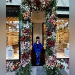 Diane Von Furstenberg  Velvet Erica Trousers Size 6 Photo 14