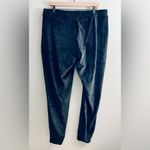 House of Harlow  1960 women Black Velour Sweatpant Joggers XL Photo 1