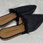 Lucky Brand Slippers, Ballet Flats Photo 0