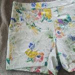 Anthropologie ELEVENSES FOR ANTHO HI RISE FLORAL/CROCHETED & LACE FEMININE SHORTS Photo 3