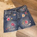 American Eagle  Floral Embroidered Denim Mini Skirt  Photo 0