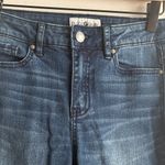 Black Daisy Classic Indigo Skinny Jeans Photo 2