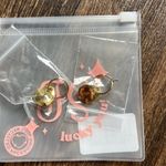 Frasier Sterling Ziggy Hoops Photo 1