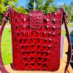 Brahmin Marley Rose Ombre Melbourne Leather Crossbody Bag NWT Photo 1