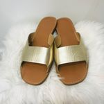 Banana Republic Gold Slip On Sandals Size 10. Photo 1