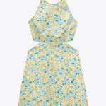 ZARA  | Floral Cut Out Dress Photo 6