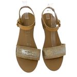 J.Crew  Factory Raffia Ankle Strap Sandal Size 10 Boho Metallic Silver Tan Woven Photo 9
