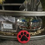 Crocs Shoe Charm- Paw print Fits Photo 0