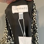Lucy Paris  Black and Tan Dress Photo 7