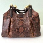 Brahmin Elisa Satchel in Embossed Snake Leather Tortoise Pecan Snake Photo 2