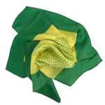 Green and Yellow Scarf Photo 2