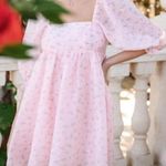 Altar'd State  Chiffon Lined Stephanie Floral Eyelet Mini Dress Photo 0