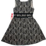 NWT Black Lace Dress 16W Timeless Classic Whimsigoth Office Siren Feminine Corp Photo 1