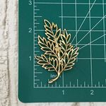 Vintage Unsigned Gold Photo 3