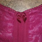 Goddess 50E Pink Red Lace Bra Size 2X Photo 1