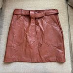 Shinestar  Brown Leather Skirt Photo 0