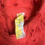 Free People  XS coral top Photo 4