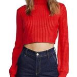 Tiger Mist  Cropped Turtleneck Sweater Photo 0