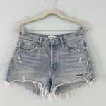AGOLDE Parker Vintage Cut Off Light Wash Denim Jean Shorts Photo 0