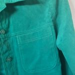 Allison Daley FINAL MARKDOWN  ultra suede blouse 12 Photo 1