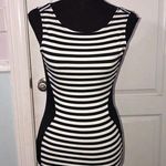 Windsor Striped Black and White Sleeveless Dress Photo 0