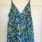 Oscar de la Renta Women's Dress, Blue Floral, Size S Photo 1