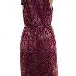 Candalite  Size Medium Sleeveless Floral Print Dress with Back Zipper & Belt. New Photo 0