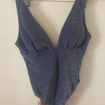 J.Crew  One Piece Swimsuit Deep V Neck Metallic Sparkle Blue Womens XL Photo 0