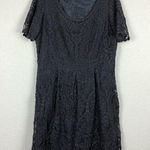 Gerard Darel Paris Brown Silk Lace Skater Dress Womens 12 Short Sleeve Formal Photo 0