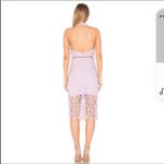 Bardot  Gemma Dress Lace Halter Size 8/M Photo 3