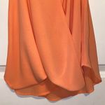 Naked Zebra Blouse Photo 3