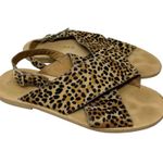 Matisse Arielle Cow Hair Sandals Leopard Cheetah Print Size 8 Tan Photo 0