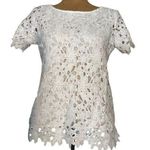 Renee C NWT  short sleeve lace lined top white size small shell & lined polyester Photo 0