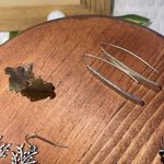 Hang Ten 8 Lot earrings Pearls, Turtles Silver Tree  Carolina Tree Photo 3