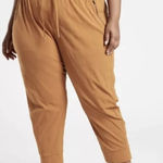 Athleta NWT Trekkie North Jogger Pant in Big Sur Brown Size 24 Photo 0