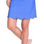 J. McLaughlin NWT JMcL / Cameron Skirt Size 4 Photo 0