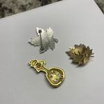 Lot Of 3 Brooch Pins Autumn Fall Thanksgiving season Photo 8