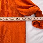 Rose + Olive Rose Olive Womens Tunic Blouse Size 1X Swissdot Burnt Orange Fall Pumpkin Autumn Photo 15