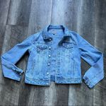 Tractr Jean Jacket Cropped Denim Size Medium Light Blue Wash Blue Photo 6