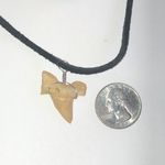 Natural Sharks Tooth Boho Pendant Necklace Tan Photo 2