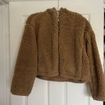 Glassons Teddy Jacket Photo 0